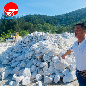 Poudre de Carbonate de Calcium Non Revêtue Acide Stéarique CaCO3 Prix Bas Fournisseur Vietnam Qualité Alimentaire Pureté 98% Certifié ISO 9001 - Product Image 4