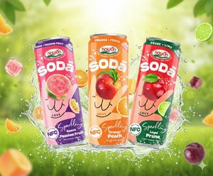 เครื่องดื่มโซดาผลไม้สดชื่น 320 มล. บรรจุกระป๋อง น้ำผลไม้รสฝรั่งสีชมพูแบบมีฟอง รับผลิตแบบ OEM แบรนด์ส่วนตัว โรงงานผลิตเครื่องดื่มในเวียดนาม - Product Image 6