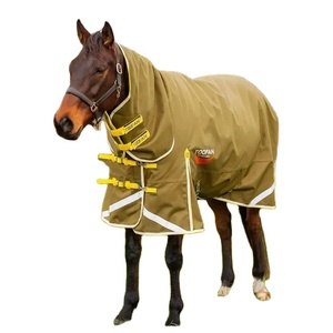 Tapis d'hiver personnalisés pour chevaux en tissu polyester imperméable Design abordable en drap de cheval idéal pour la protection contre le froid - Product Image 1