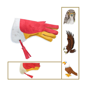 High Quality Latest Price Leather Falconry <b>Gloves</b> Factory Direct Supply Newest Design Falconry <b>Gloves</b> - Product Image 6