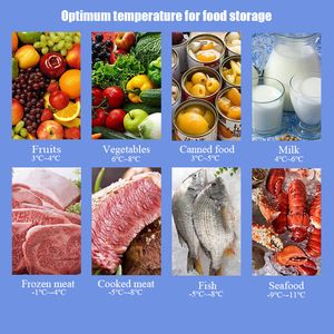 Refrigerador de cerveza con Rayo Azul, refrigerador de doble puerta para <span class=keywords><strong>Bar</strong></span>/restaurante/tienda/beber, alta calidad - Product Image 6