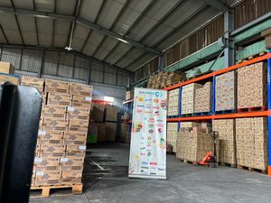 Hot Selling Toonies Chocolate <b>Snack</b> 32g Sweet <b>Snack</b> Competitive Price Wholesale Export Supplier - Product Image 5