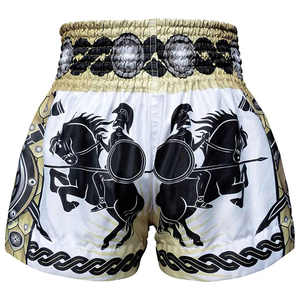 Martial Arts Shorts Gym Shorts Sparring Shorts Men's Microfiber Thai Boxing Shorts Quick Dry Retro Style Wide Leg - Product Image 2