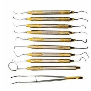 Kit d'instruments d'hygiène dentaire BBI-532 Bone Bridge Instruments, ensemble de nettoyage professionnel pour prophylaxie, en acier inoxydable - Product Image 3