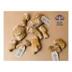 Jouet à mâcher pour chien en bois de café de qualité supérieure favorise le nettoyage dentaire et soulage le stress de la mastication pour les chiens 2026 - Product Image 1