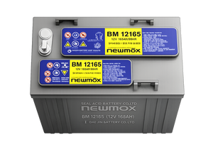16. Batería de Plomo-Ácido de Ciclo Profundo NEWMAX BM12150 12V 150AH GEL VRLA para Sistemas Solares, Inversores de Red y UPS, Libre de Mantenimiento - Product Image 3