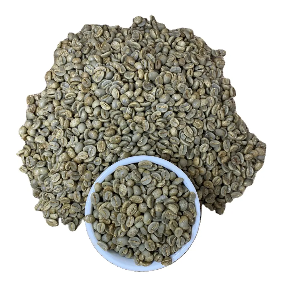 원시 아라비카 커피 콩 세척 과정 자연 풍미 새로운 작물 2023-2024