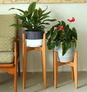 Support pour plantes en bois de hêtre naturel, fabriqué en bois dur massif avec pot surélevé, design minimaliste, idéal pour l'affichage de plantes d'intérieur - Product Image 3