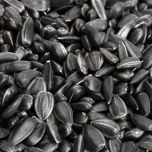 Graines de tournesol fraîches de première qualité, brutes et séchées, 1 kg en vrac, en gros, pour collations - Product Image 6
