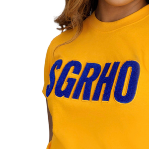 Camiseta de chenilla con mangas tipo poodle de Sigma Gamma Rho SGRHO para mujer, mezcla de algodón dorado, manga corta, estilo casual y elegante. - Product Image 3