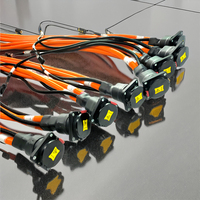 OEM/ODM Assemblage de câble EV à charge rapide de haute qualité Faisceau de câblage de port de charge de véhicule à nouvelle énergie