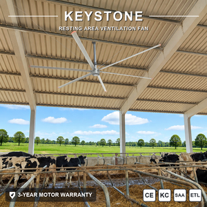 ระบบระบายอากาศแบบเฮลิคอปเตอร์ Keystone HVLS ครอบคลุมพื้นที่กว้าง ช่วยเพิ่มความสบายให้กับโคนม่วงในพื้นที่พักผ่อน - Product Image 1