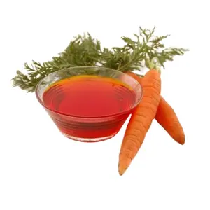 Highest Selling Direct Factory Bulk Price 100% Natural and Organic Seeds Raw Material Carrot Seed Essential Oil for Sale