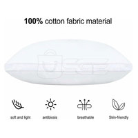 Coussin de sommeil moderne pour la maison, directement de l'usine, avec housse en coton biologique écologique et garnissage en duvet de qualité supérieure, personnalisable