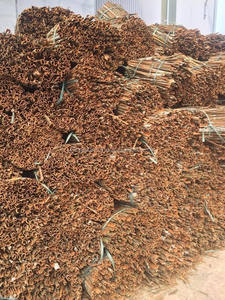 ลดกระหน่ำ!!! ผงขี้เหล็กมาตรฐาน2024_EXPORT จากเวียดนาม - Product Image 3