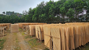 Placage rotatif durable et écologique en vrac (longueur 1270 mm, humidité 10-12 %), grain naturel, surface propre, qualité industrielle - Product Image 4