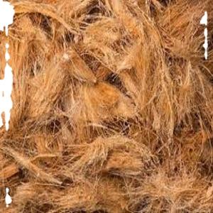 Fibra de coco natural de primera calidad, ideal para colchón de cepillo, alfombrilla de cuerda y uso de tapicería, adecuada para los mercados de exportación globales - Product Image 1