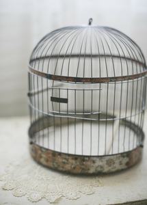 Cage à oiseaux en métal, grande cage pour oiseaux, cages de vol pour animaux de compagnie avec support à roulettes - Product Image 5