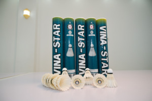 Vina-Star Professional Badminton Sport Shuttlecock Class a Goose Feather Lightweight High Durability 12 Count Training - Product Image 4