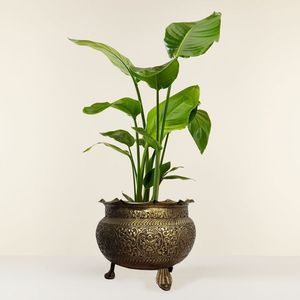 Jardinière en métal de qualité supérieure, conteneur décoratif pour plantes, durable, élégant, solution de présentation paysagère moderne pour l'intérieur et l'extérieur - Product Image 4