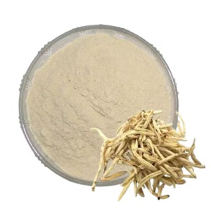 Polvo de Safed Musali 100% Puro y Natural al por Mayor, Polvo de Safed Musali de Grado Alimenticio Premium para Apoyar la Salud de Hombres y Mujeres - Product Image 1