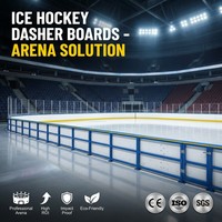 Panneaux de protection de patinoire en HDPE de haute qualité pour arènes multisports – Vente en gros