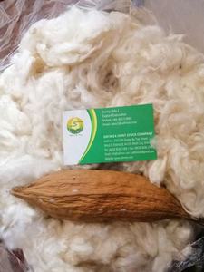 Vente en gros de nid d'oiseau en fibre naturelle de Kapok, oreiller pour animaux en peluche, sac OEM d'emballage d'ours en peluche en fibre de Kapok brute, fabrication de non-tissé - Product Image 5