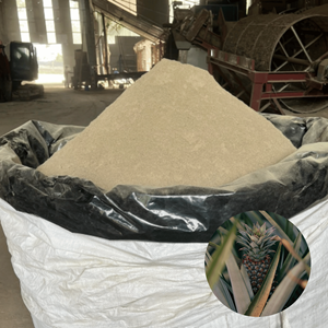 Precio al por Mayor, Suministro del Fabricante de Vietnam, Polvo de Piel de Piña de Primera Calidad, Venta al por Mayor - Product Image 1