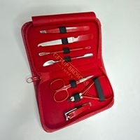 Kit de manucure professionnel 8-en-1, coupe-ongles, kit rouge, outils de soin des pieds, acier inoxydable, boîte de toilettage pour femmes, 20 pièces, voyage