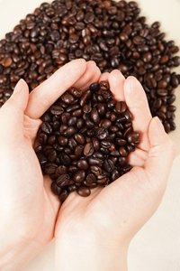 Arôme naturel de café Robusta du Vietnam, grains de café vert, durée de conservation de 24 mois, pour torréfacteurs et distributeurs - Product Image 2