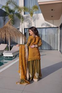 Traje de Chifón Mehendi Listo para Usar con Espejos Reales y Bordados - Product Image 2