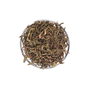 Abastecimiento directo Las mejores ofertas en hojas de diente de león cultivadas silvestres de grado alimenticio Suministro a granel para mezclas de té secas naturales - Product Image 3
