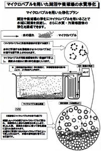 Systèmes de Traitement de l'Eau Commerciaux pour l'Aquaculture : Générateur de Microbulles de Qualité Supérieure pour l'Oxygénation et la Purification - Product Image 4