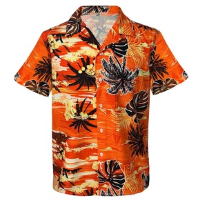 Chemise hawaïenne à manches courtes pour homme, de haute qualité, respirante, anti-rides, écologique, séchage rapide, imprimée, décontractée, pour la plage, été - Product Image 1
