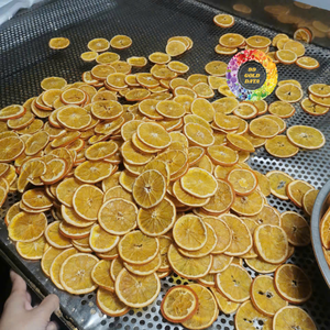 <b>Sweet</b> and High <b>Quality</b> Dried Orange Slices From Vietnam - 100% Dried Peel Diced Dry Orange Slices - CARYLN - Product Image 6