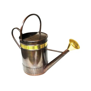 Standard Iron Metal Watering <b>Cane</b> Antique Finished Flower Planter Holder for Indoor & Outdoor <b>Garden</b> Use Leak Proof Water Cans - Product Image 2