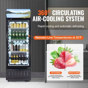 Frigorifero Commerciale per Bevande da 6,8 Cu.Ft./195L con Porta in Vetro, Espositore Refrigerato e Congelatore per Negozi - Product Image 5