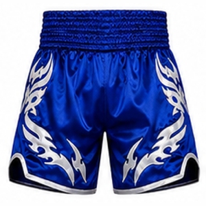 Shorts de Muay Thai personnalisés, shorts de boxe en satin de qualité supérieure, fabricant en gros, OEM ODM - Product Image 3