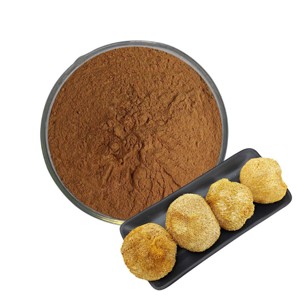 Extrait de champignon Crinière de lion 100 % pur et naturel 10:1 – Poudre d'extrait de Hericium Erinaceus de qualité supérieure pour la concentration et le soutien de la mémoire - Product Image 1