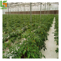 Système de culture hydroponique vertical agricole personnalisable Fournisseur de gouttières/canaux en PVC