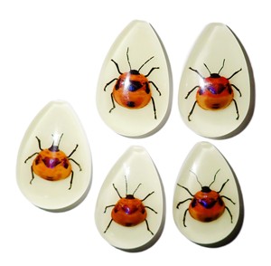 Cabujón de plástico con espécimen real de insecto floral, corte de pera, parte superior de 46x30 mm, base plana brillante para manualidades y fabricación de joyas - Product Image 5