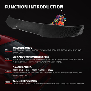 สปอยเลอร์คาร์บอนไฟเบอร์อเนกประสงค์ขายดี - เหมาะกับ<span class=keywords><strong>รถ</strong></span><span class=keywords><strong>เก๋ง</strong></span>ส่วนใหญ่และรถแฮทช์แบ็คบางรุ่น - Product Image 5