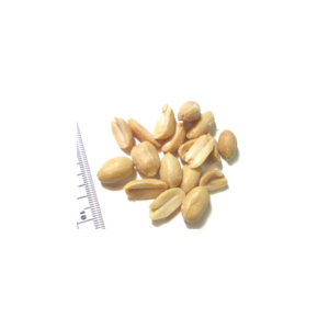Snack Saludable: Cacahuetes Pelados de Primera Calidad a Granel de Fabricante INDIO - Product Image 6