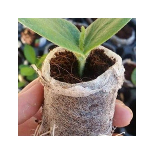 Granulés de coco de haute qualité, fibres de coco compressées propres pour le démarrage de graines et les mélanges de rempotage, avec une excellente rétention d'humidité - Product Image 5