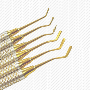 Kit Profesional de Instrumentos de Restauración Dental con Recubrimiento de Titanio Dorado, Juego de Instrumentos de Composite, Proveedor OEM Premium, CE - Product Image 3