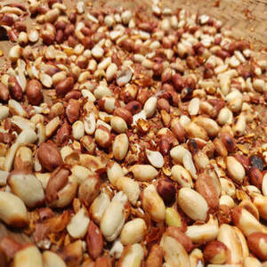Arachides grillées fraîches indiennes nouvelle récolte FitTree International, faites à la main, salées, premium, croustillantes, commandes en gros, aliments internationaux - Product Image 1