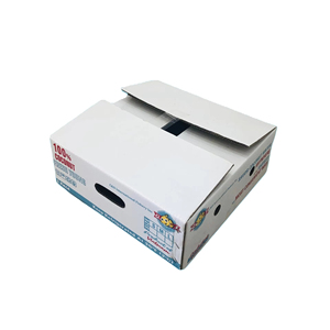 Emballage en carton recyclable de luxe, de haute qualité et respectueux de l'environnement avec impression personnalisée, boîtes en carton de noix de coco, boîtes en carton ondulé - Product Image 1