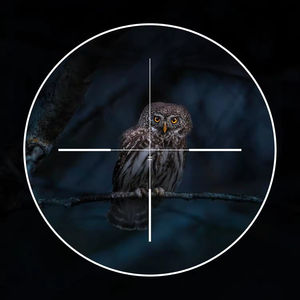 Monoculaire de vision nocturne haute définition avec zoom optique, portée de vision de 200 m dans l'obscurité pour les aventures en plein air et la surveillance de la sécurité - Product Image 6