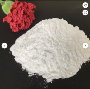 CACO3 Calcium Carbonate Powder Price Coating Grade Food Grade White Limestone Powder Fast Delivery REAL MANUFACTURE TOP SELL - Product Image 1