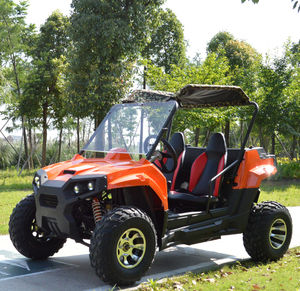 UTV Legales para Circular en la Calle, Buggy MAYTOP 4x4, Vehículo Utilitario Todoterreno - Product Image 2